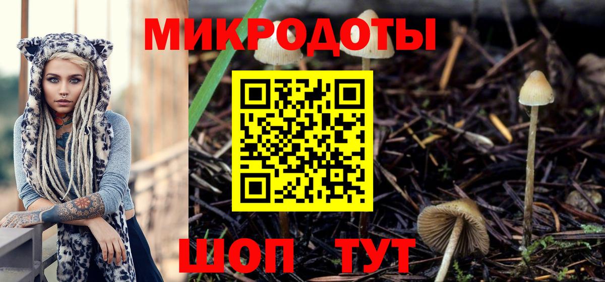 Отрадный  Псилоцибиновые грибы прущие грибы  Вход с VPN 
