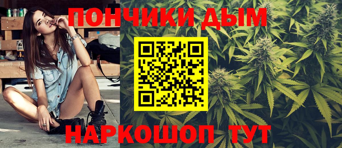 Бошки марихуана Bruce Banner Отрадный